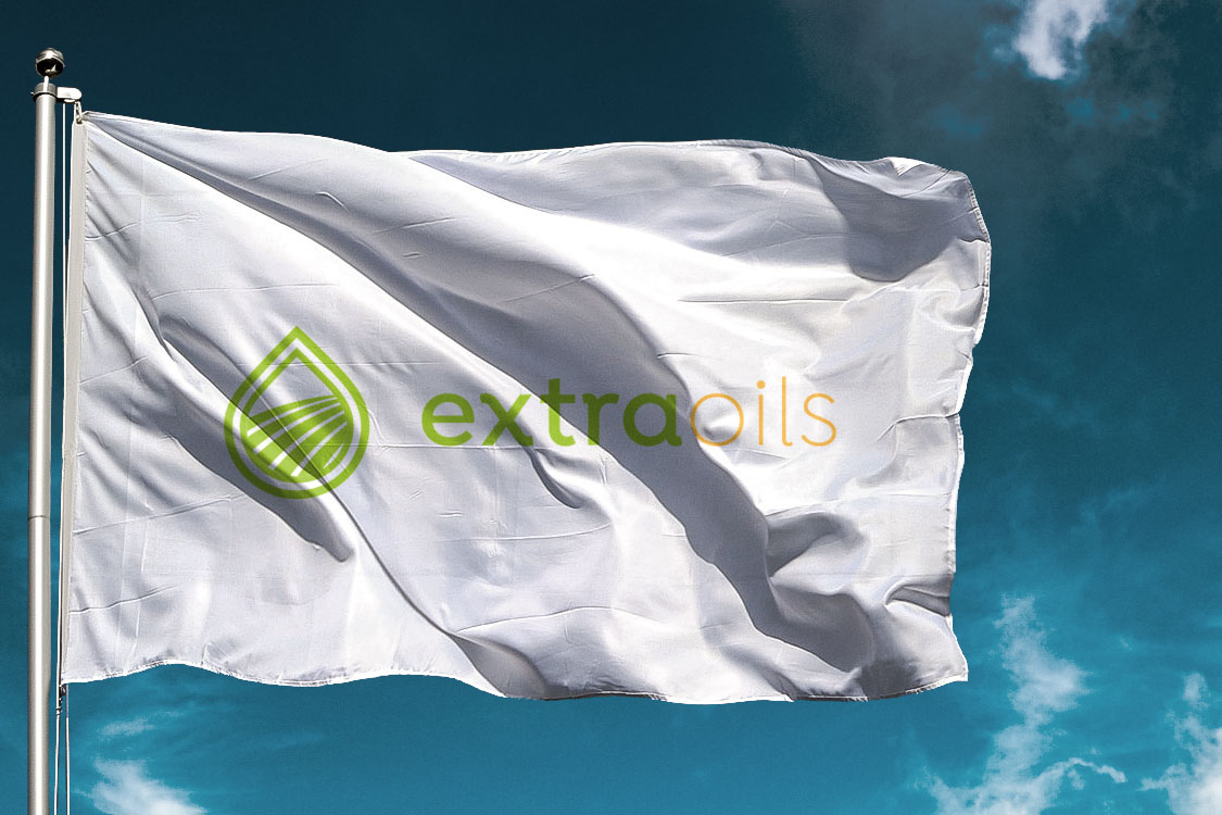 Extraoils | Logotipo + Estacionário
